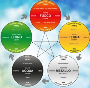 Le malattie del fegato ed il loro significato nella MTC