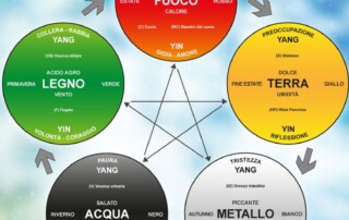 Le malattie del fegato ed il loro significato nella MTC