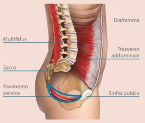 cause di indebolimento del pavimento pelvico