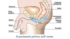 cause di indebolimento del pavimento pelvico maschile