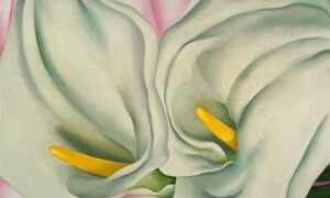 Come migliorare la salute del pavimento pelvico