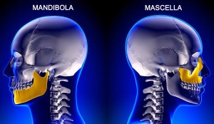 4 Lezioni pratiche Online per l’articolazione tempo-mandibolare per migliorare la salute della tua mandibola