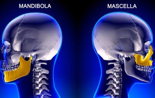 4 Lezioni pratiche Online per l’articolazione tempo-mandibolare per migliorare la salute della tua mandibola