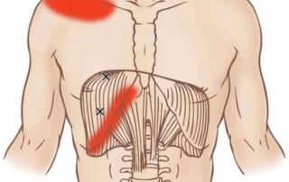 Respirare a Pieni Polmoni con il Metodo Feldenkrais